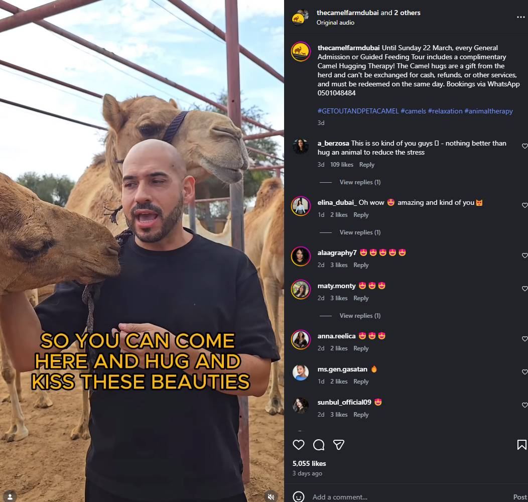 Camel Farm Dubai